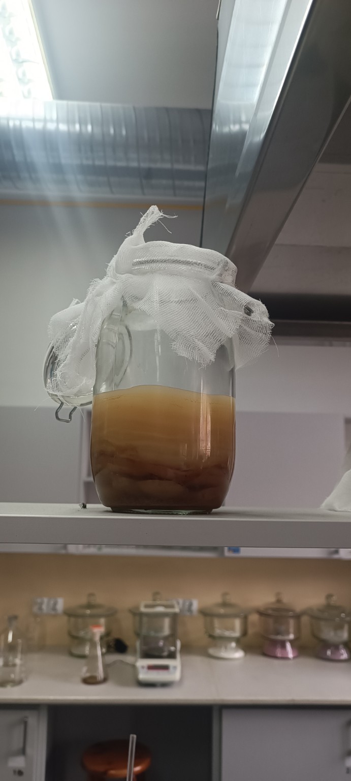 Szklany słój z kombuchą przykryty gazą, z wyposażeniem laboratoryjnym w tle