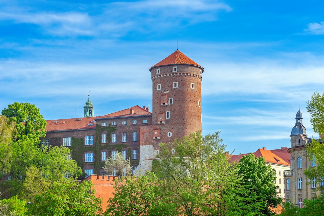 Wawel i panorama Krakowa widziane od strony Wisły